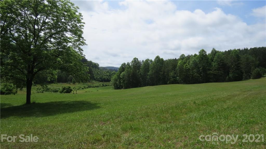 764 Lattimore Road Rutherfordton, NC 28139 - Photo 1 of 29 a view of a grassy field with trees