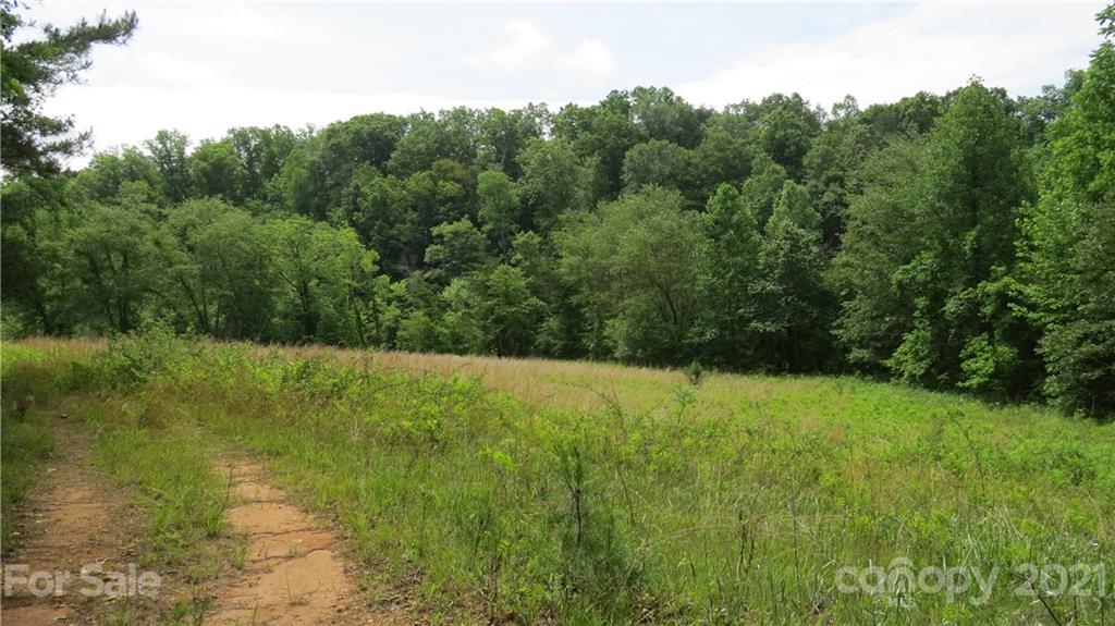764 Lattimore Road Rutherfordton, NC 28139 - Photo 13 of 29 a view of outdoor space and yard