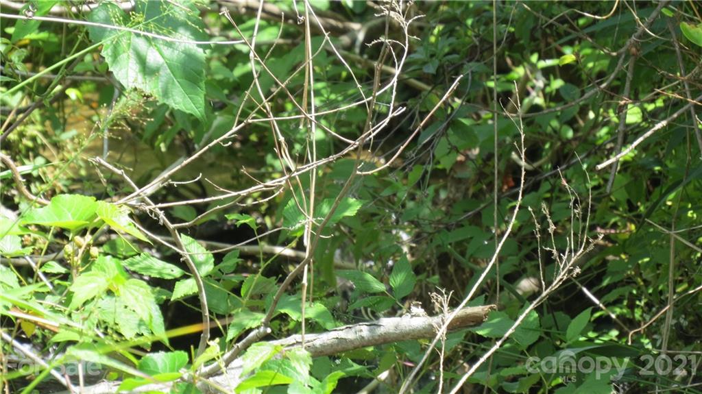 764 Lattimore Road Rutherfordton, NC 28139 - Photo 14 of 29 a backyard of a building