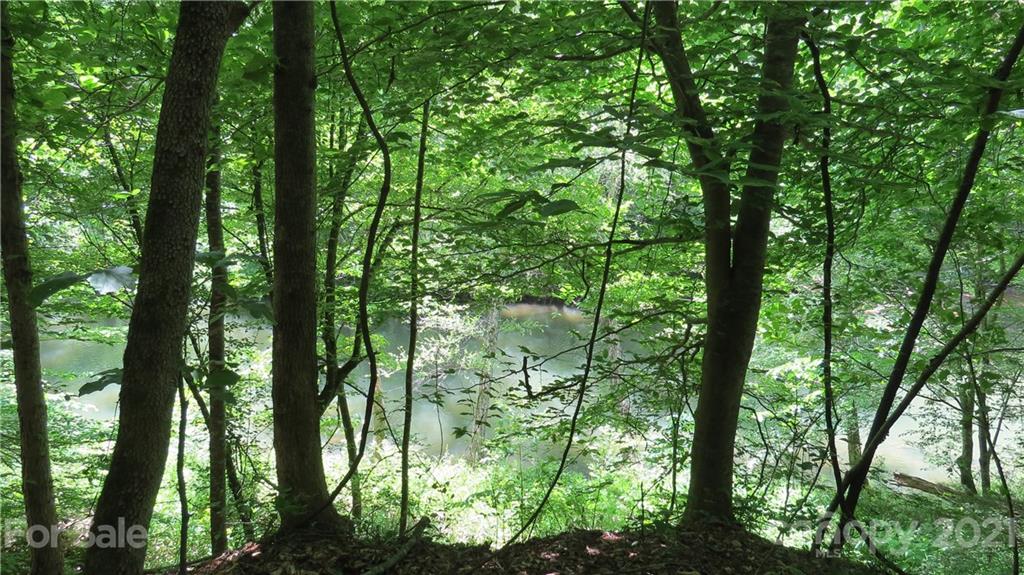 764 Lattimore Road Rutherfordton, NC 28139 - Photo 21 of 29 a view of forest