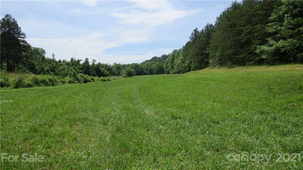 764 Lattimore Road Rutherfordton, NC 28139 - Photo 7 of 29 a view of a grassy field with trees