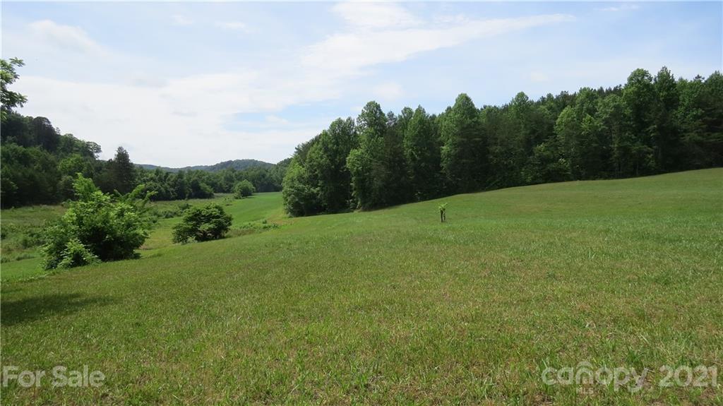 764 Lattimore Road Rutherfordton, NC 28139 - Photo 8 of 29 a view of a field with trees in the background