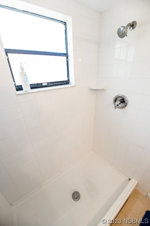 17 Pelican Drive Edgewater, FL 32141 - Photo 13 of 32 a bathroom with a shower