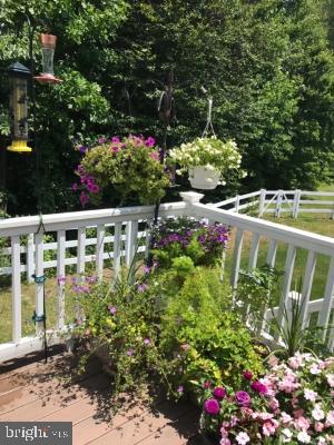 102 Hummingbird Way Sewell, NJ 08080 - Photo 17 of 21 Enjoy the privacy and sweet sounds of nature.