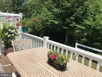 102 Hummingbird Way Sewell, NJ 08080 - Photo 18 of 21 Serenity.