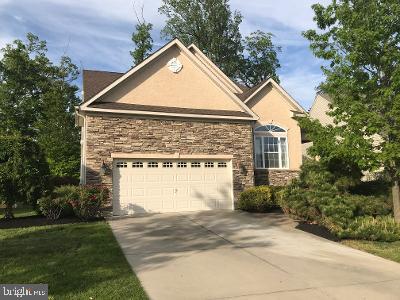 102 Hummingbird Way Sewell, NJ 08080 - Photo 3 of 21 2 car garage with single door for easy access.