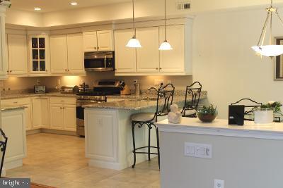 102 Hummingbird Way Sewell, NJ 08080 - Photo 6 of 21 Spacious kitchen with SS/S appliances.