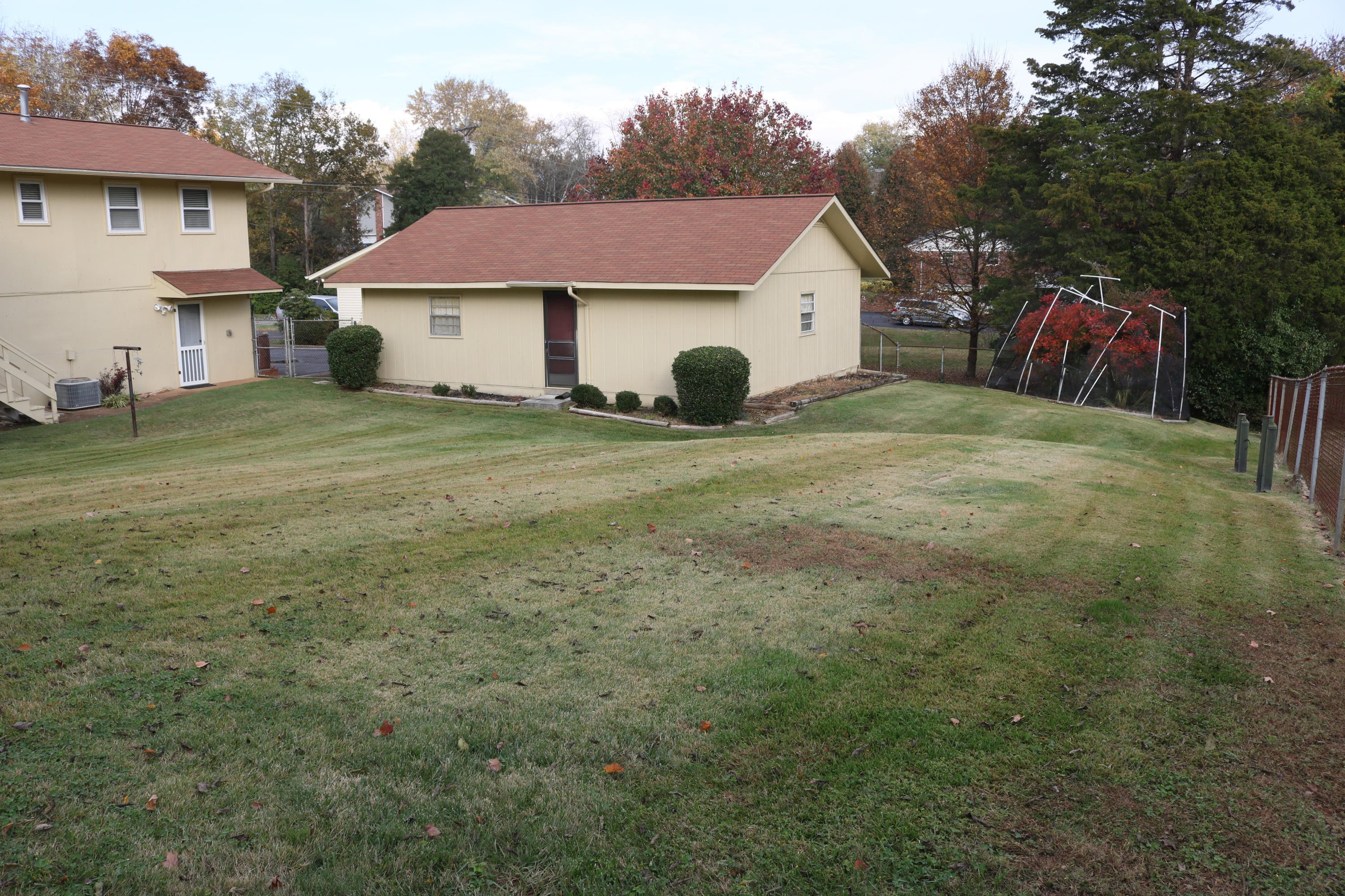1117 Roderick Road Knoxville, TN 37923 - Photo 7 of 32 Blueberries