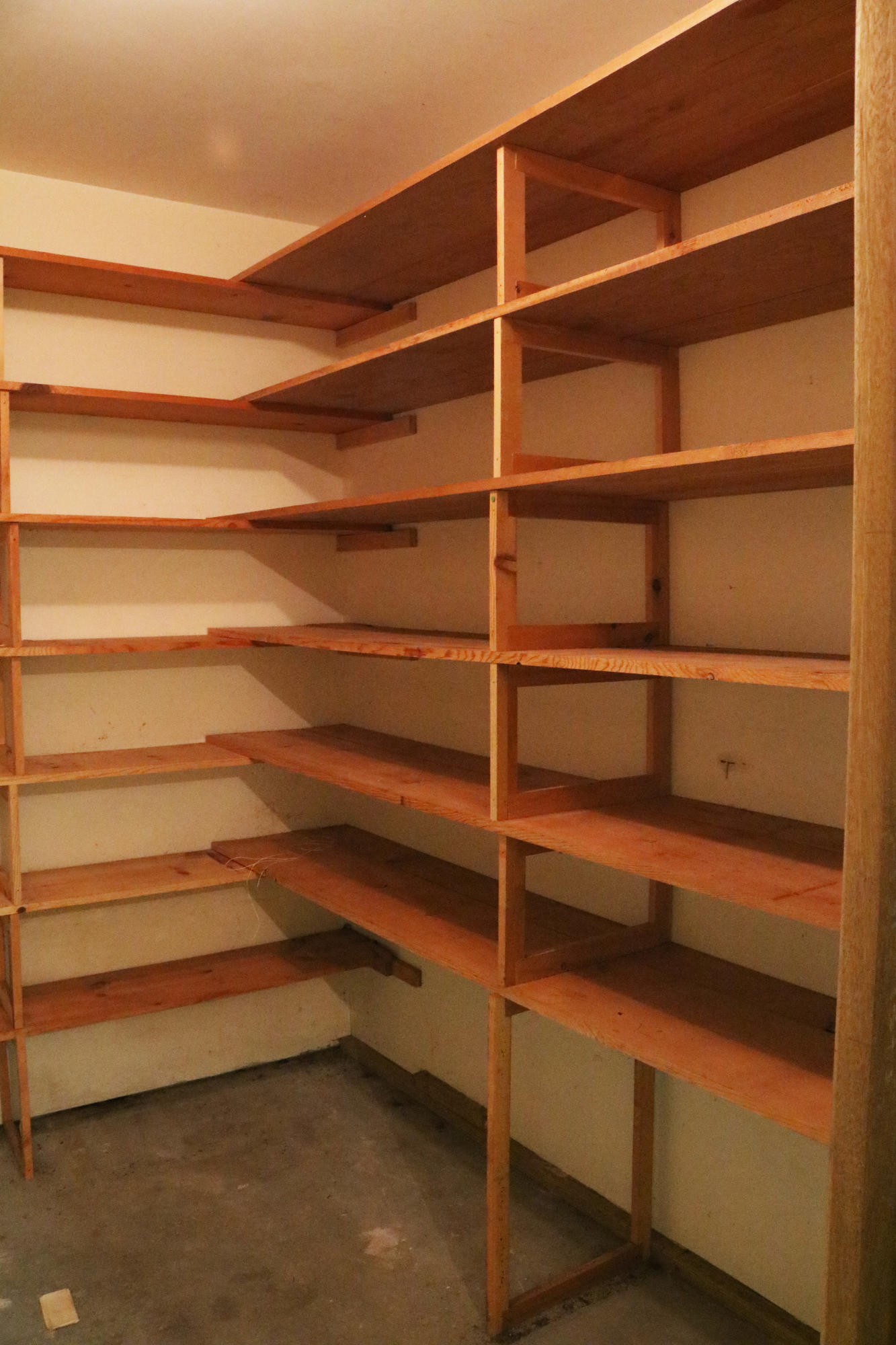 1117 Roderick Road Knoxville, TN 37923 - Photo 9 of 32 DetachedGarageStorage1