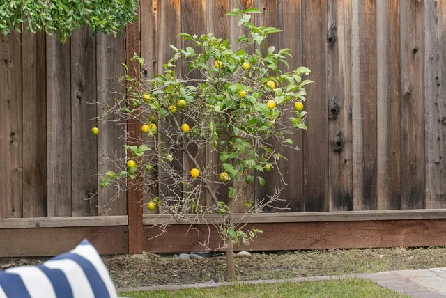 $1,389,000 | 357 Sunnyslope Drive, Fremont, CA 94536