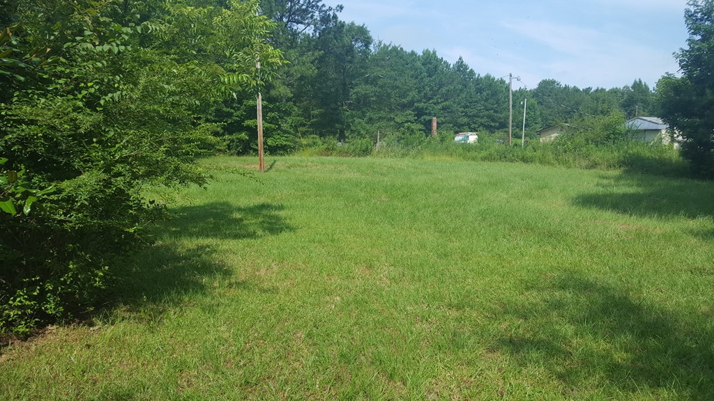 6 Columbus Road Hurtsboro, AL 36860 - Photo 2 of 7