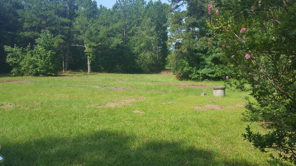 6 Columbus Road Hurtsboro, AL 36860 - Photo 3 of 7