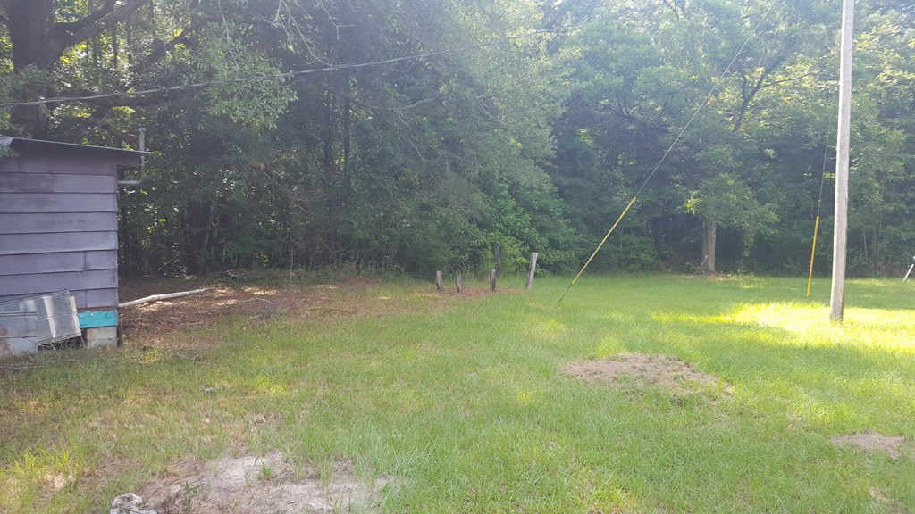 6 Columbus Road Hurtsboro, AL 36860 - Photo 4 of 7