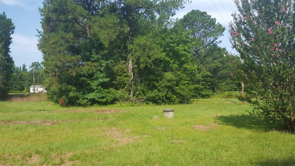 6 Columbus Road Hurtsboro, AL 36860 - Photo 5 of 7