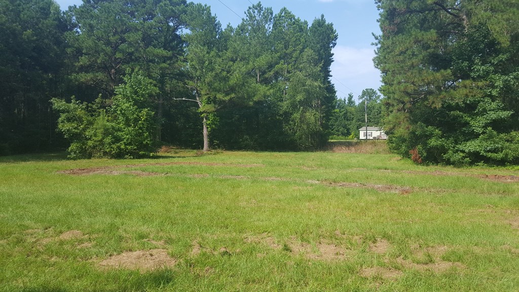 6 Columbus Road Hurtsboro, AL 36860 - Photo 6 of 7