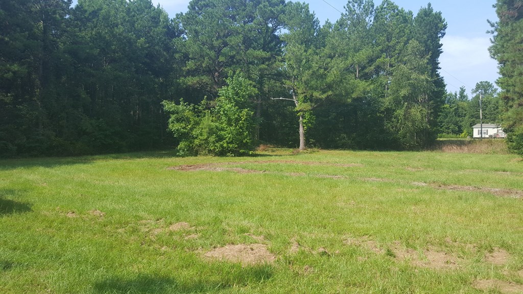 6 Columbus Road Hurtsboro, AL 36860 - Photo 7 of 7
