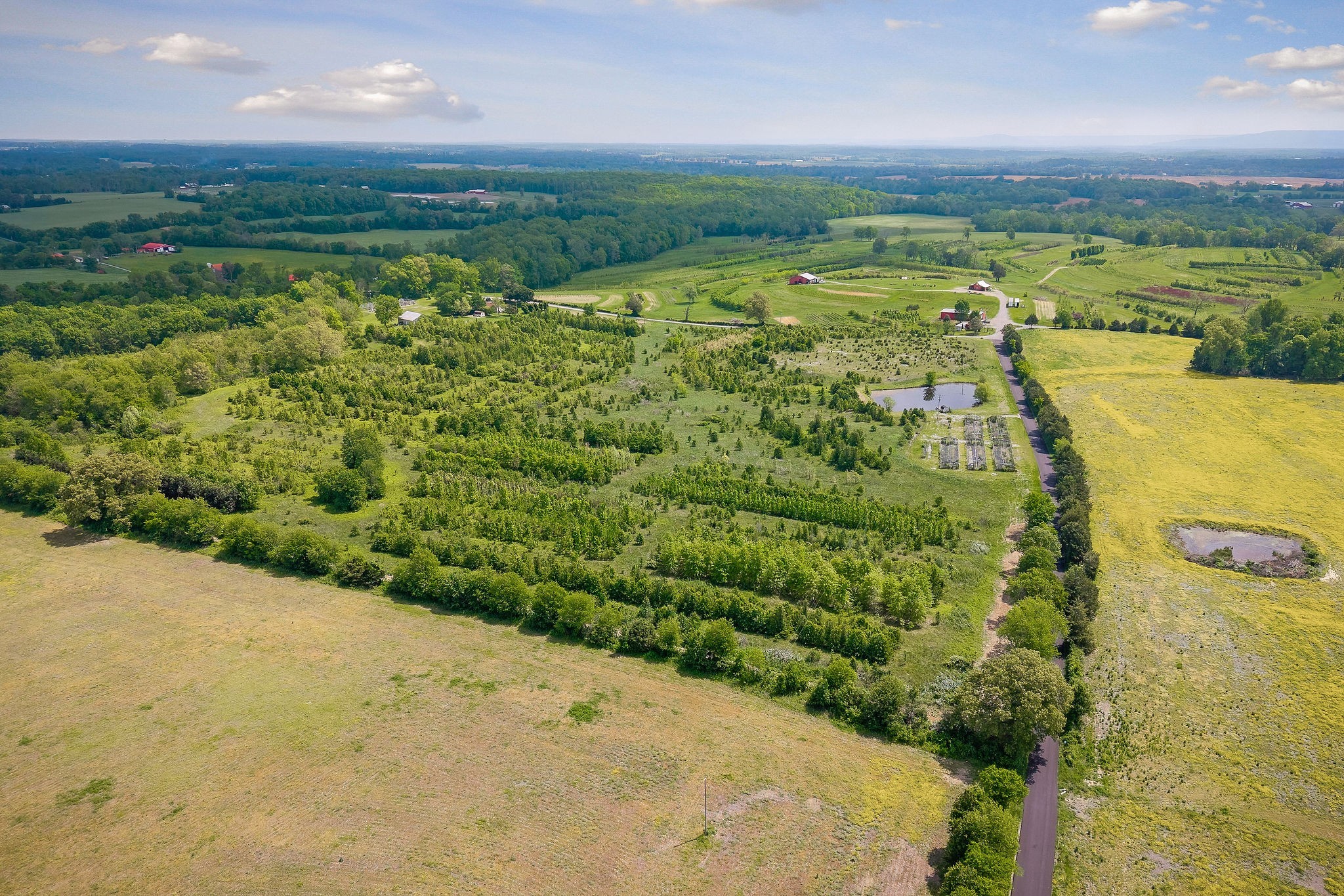 1051 Herman Lance Road Morrison, TN 37357 - Photo 36 of 57 a view of a lake with a yard