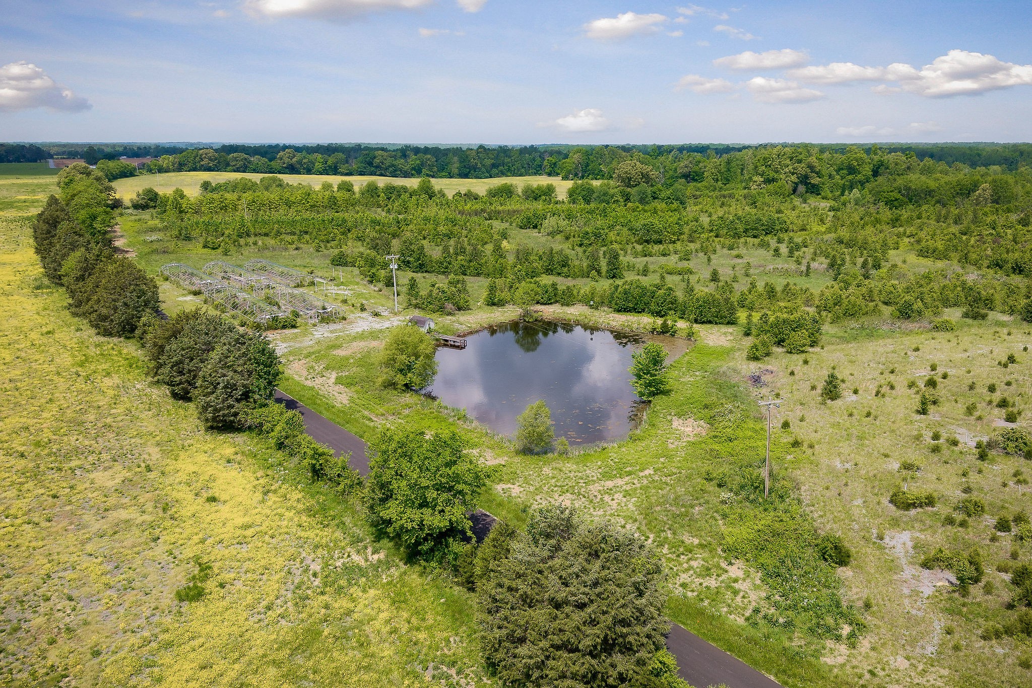 1051 Herman Lance Road Morrison, TN 37357 - Photo 38 of 57 a view of a garden with a building in the background