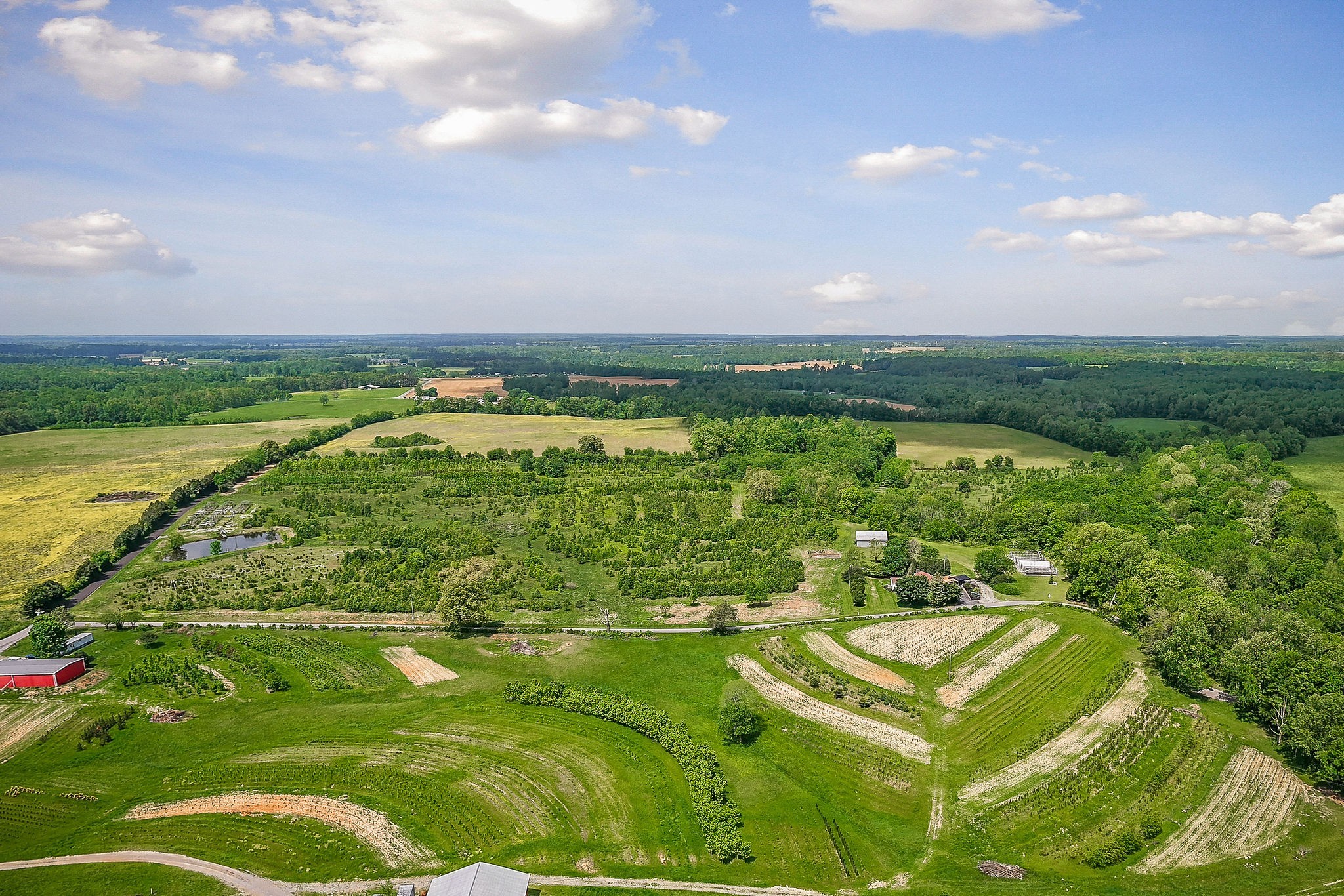 1051 Herman Lance Road Morrison, TN 37357 - Photo 42 of 57