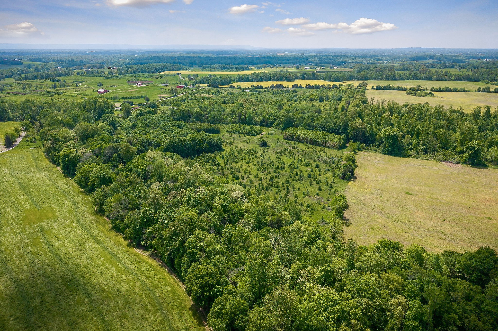1051 Herman Lance Road Morrison, TN 37357 - Photo 46 of 57 a view of a green field with an ocean