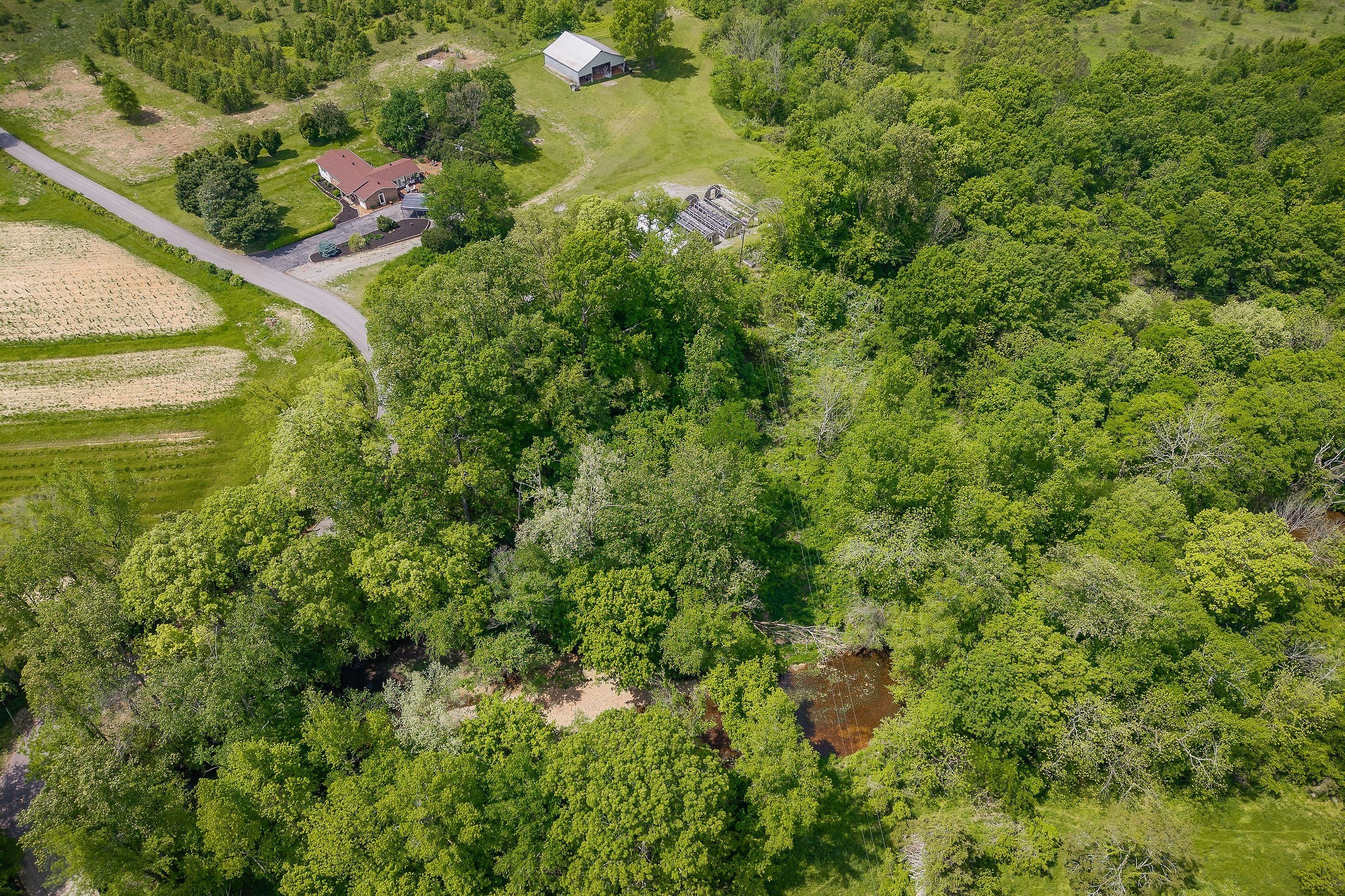 1051 Herman Lance Road Morrison, TN 37357 - Photo 49 of 57