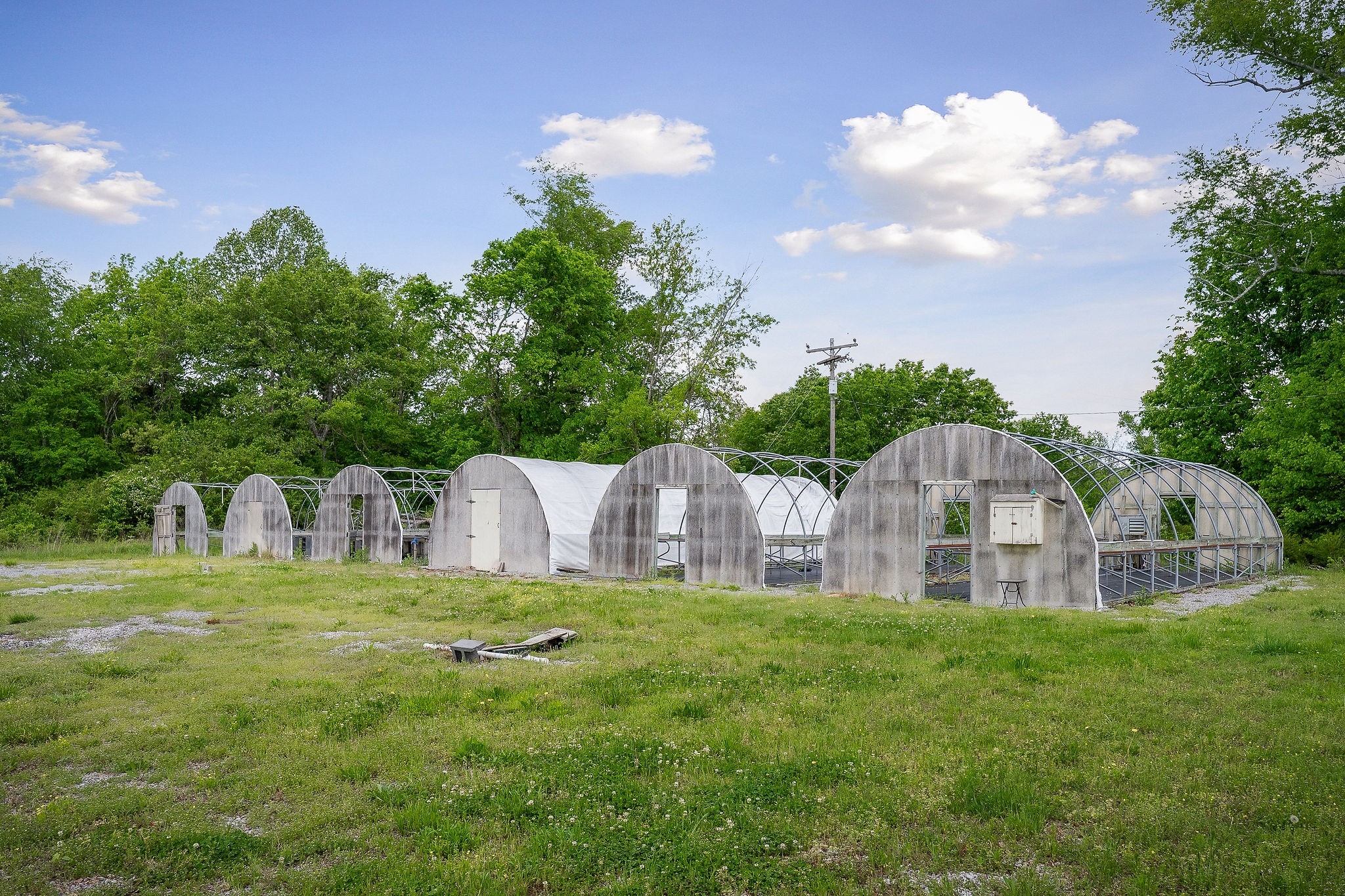 1051 Herman Lance Road Morrison, TN 37357 - Photo 56 of 57 a view of a house with a big yard and large trees
