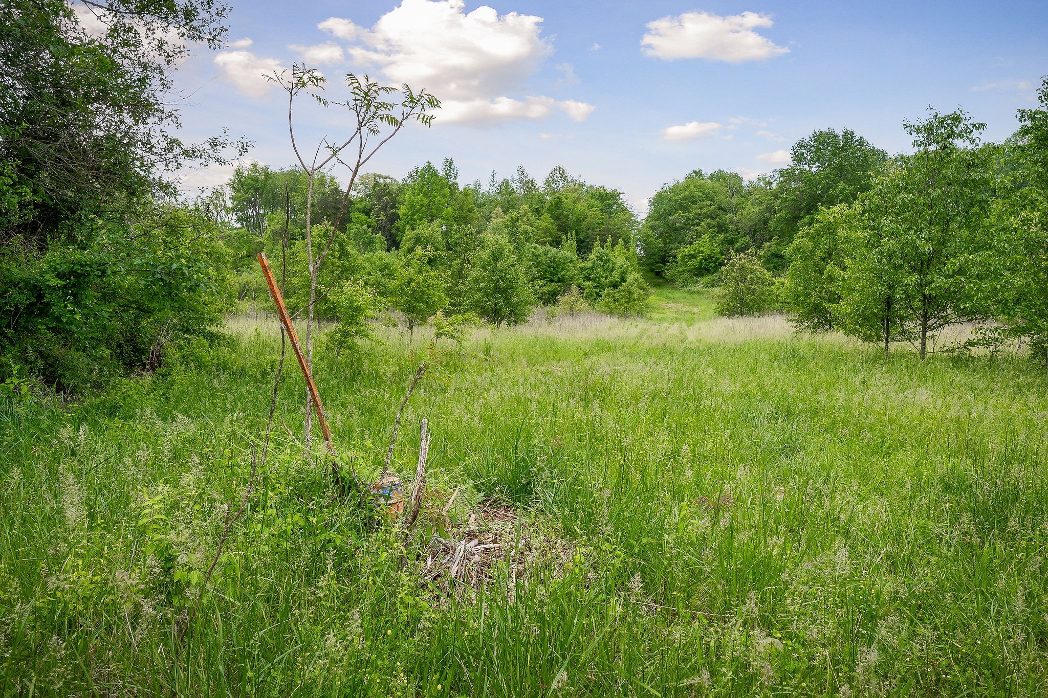 1051 Herman Lance Road Morrison, TN 37357 - Photo 57 of 57 a view of a garden