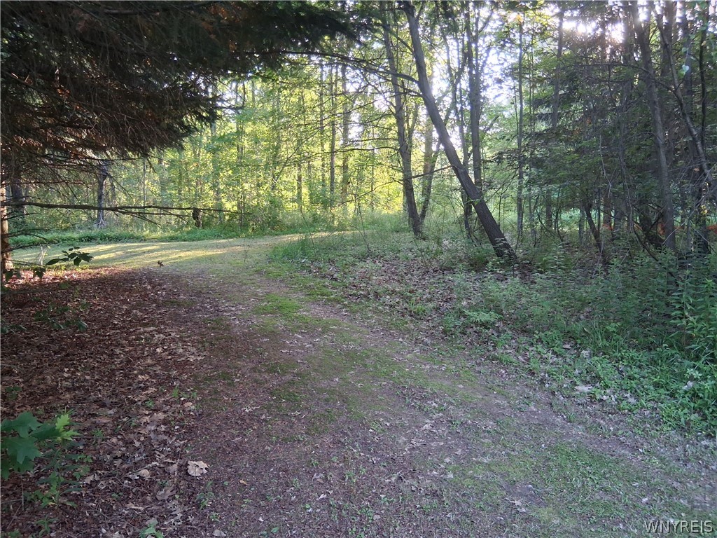 9190 Ball Road Otto, NY 14719 - Photo 26 of 31