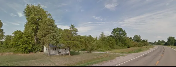a view of a yard