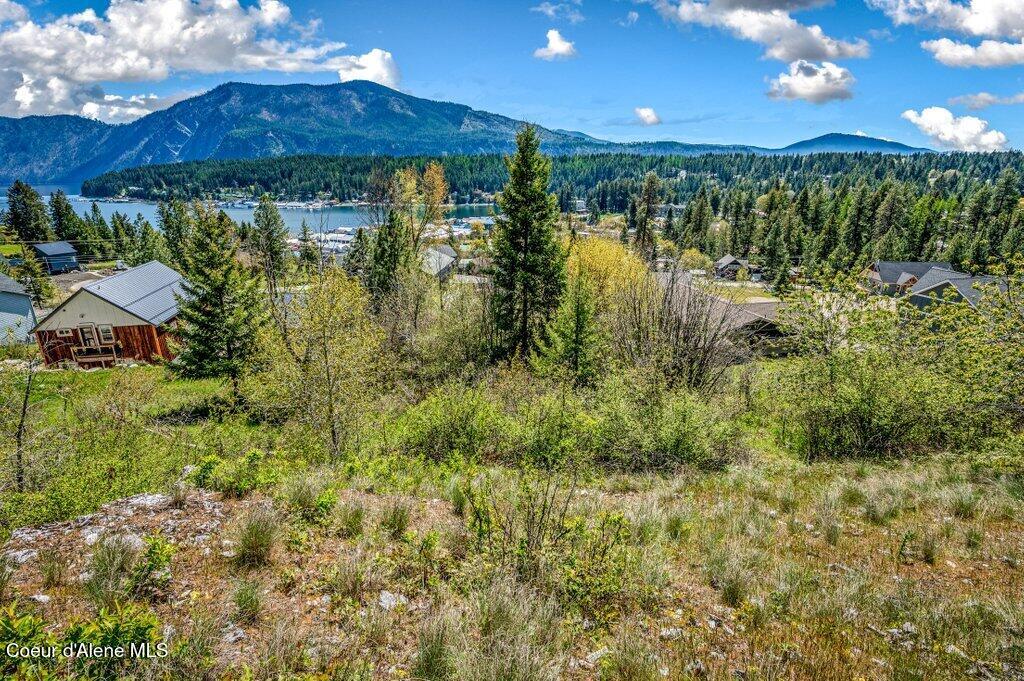 Nna Waller Road Bayview, ID 83803 - Photo 12 of 27 --11.jpg-SMALL