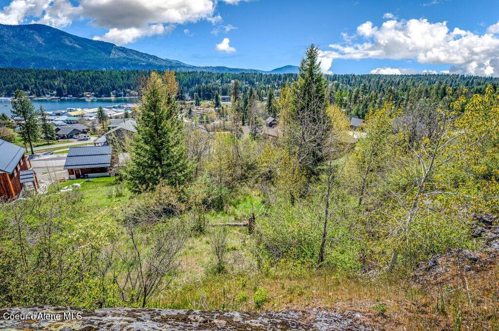 Nna Waller Road Bayview, ID 83803 - Photo 14 of 27 --13.jpg-SMALL