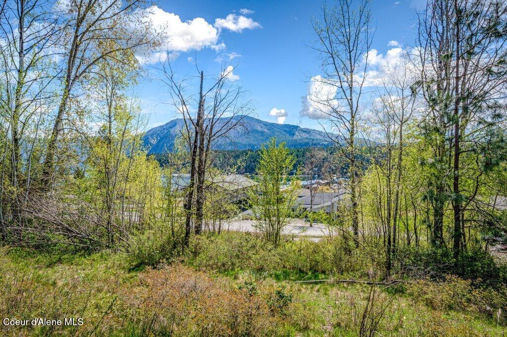 Nna Waller Road Bayview, ID 83803 - Photo 6 of 27 --5.jpg-SMALL