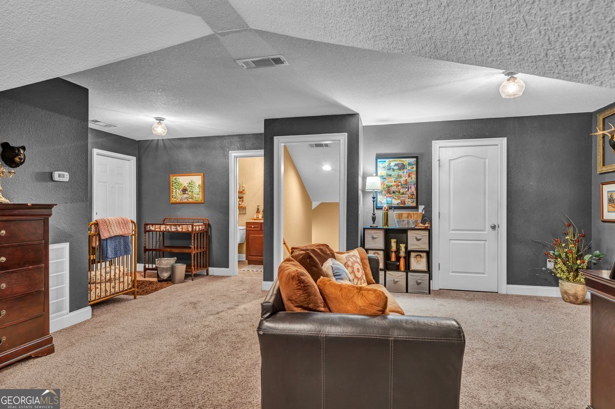 315 Old Pine Road Dudley, GA 31022 - Photo 53 of 54