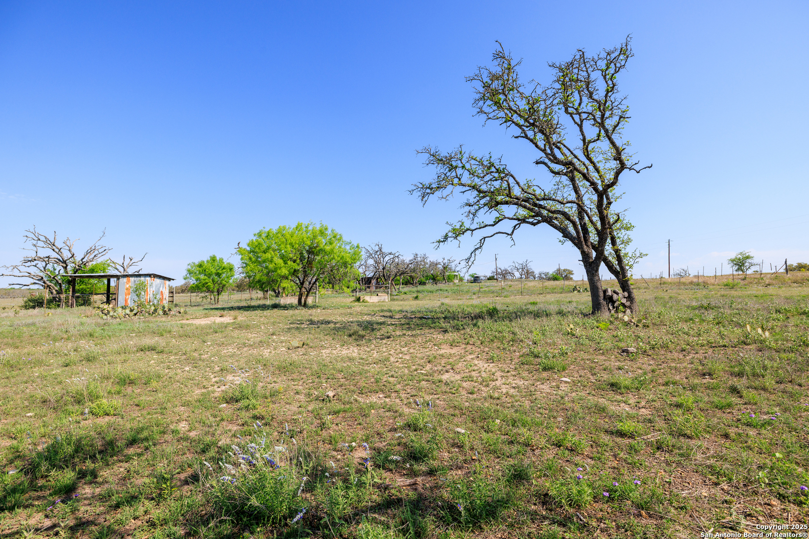 453 Reeves Lane Harper, TX 78631 - Photo 23 of 31 a view of a yard