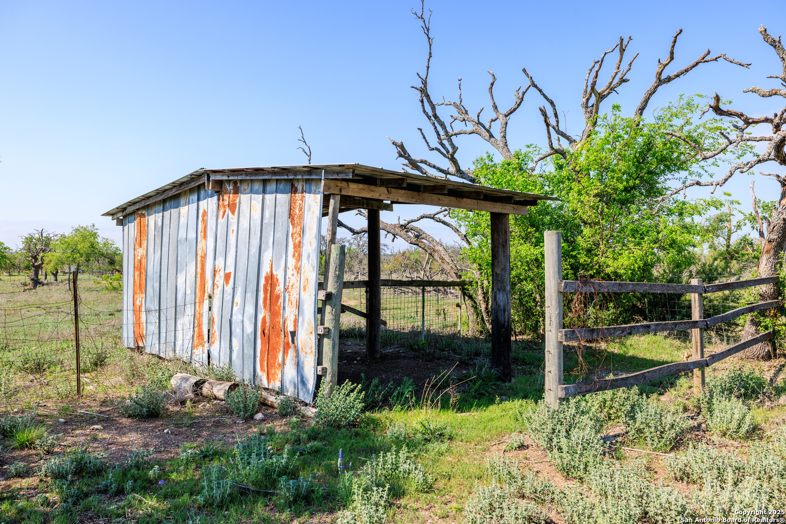 453 Reeves Lane Harper, TX 78631 - Photo 24 of 31 a view of outdoor space and yard