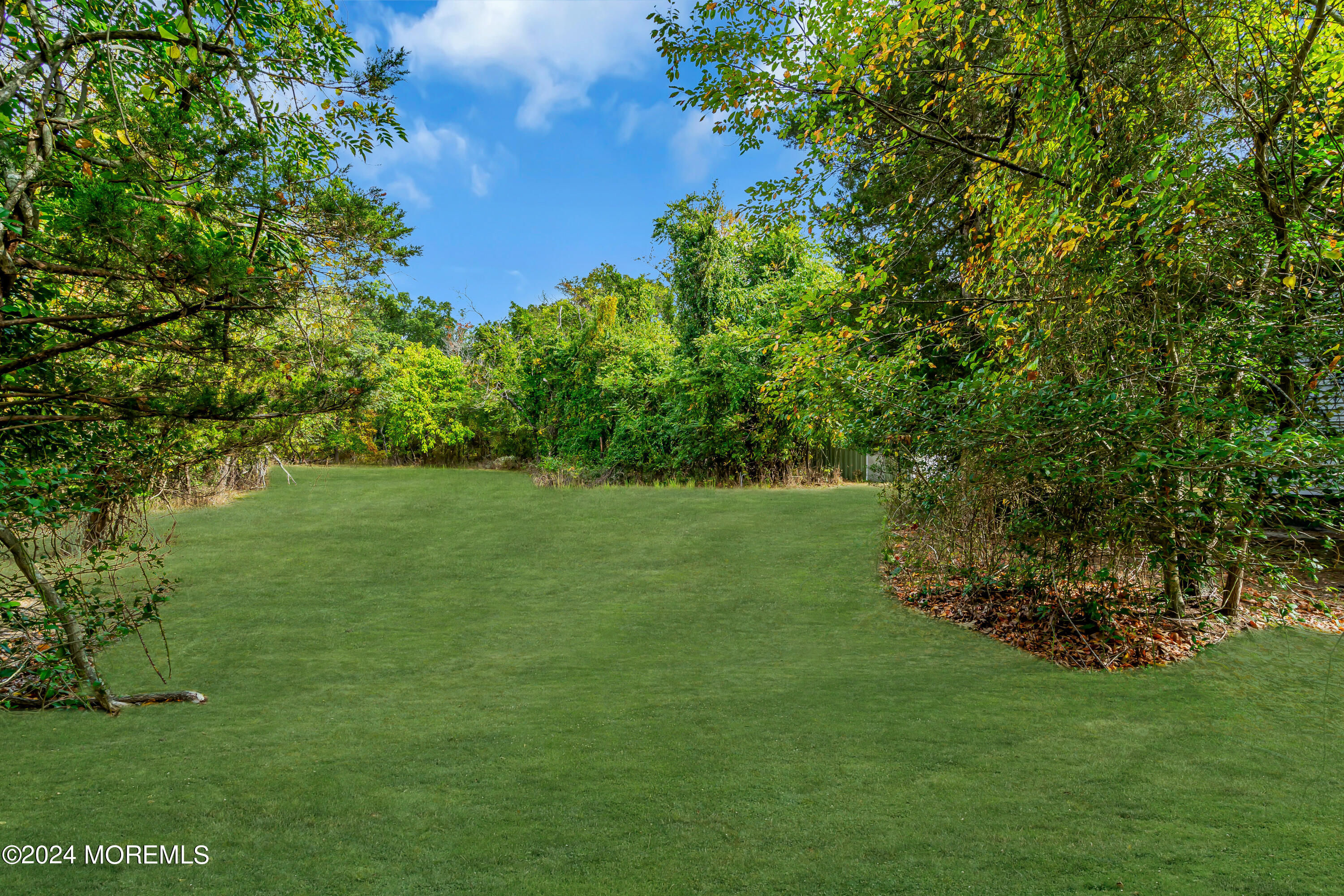 53 Estelle Lane Howell, NJ 07731 - Photo 33 of 36 a view of a trees with a yard