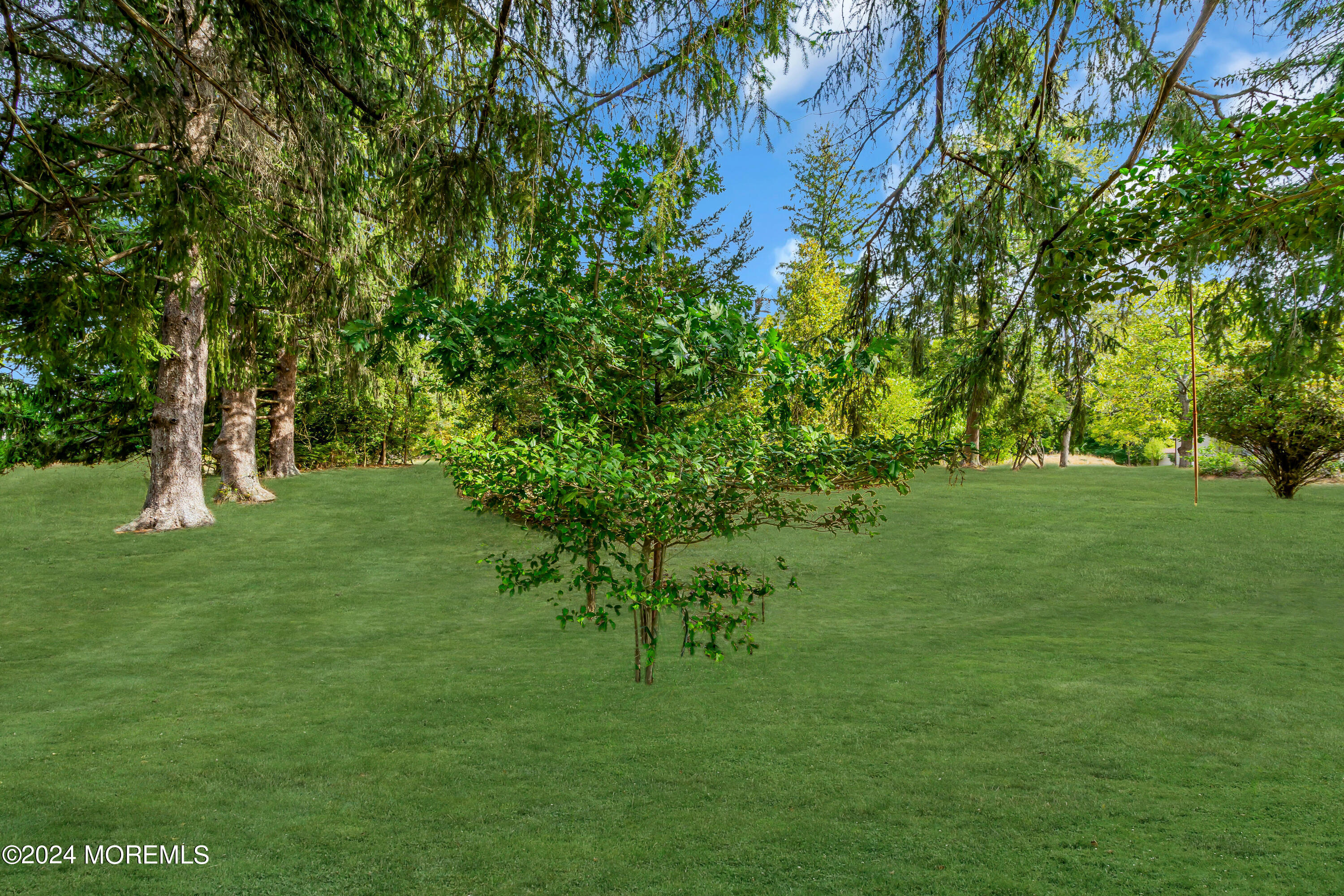 53 Estelle Lane Howell, NJ 07731 - Photo 34 of 36 a big yard with lots of green space and trees