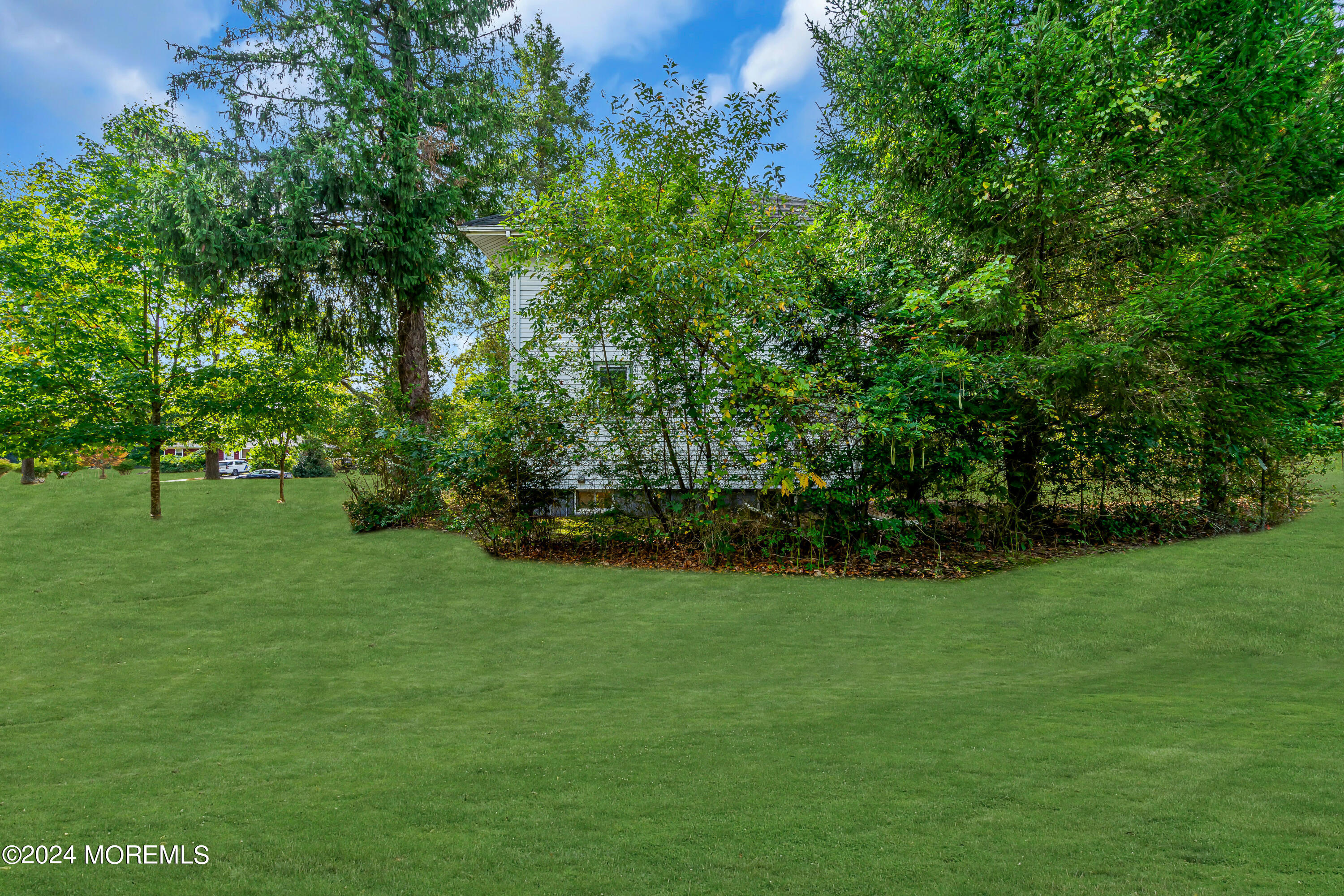53 Estelle Lane Howell, NJ 07731 - Photo 36 of 36 a view of field with trees in the background