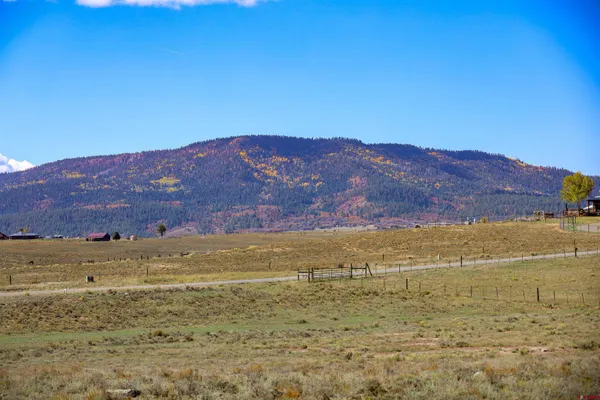 a view of a large green field