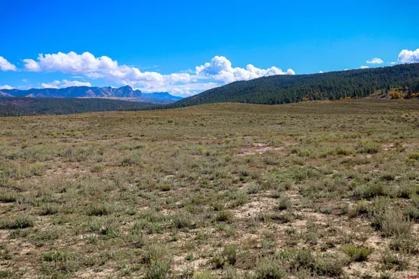a view of a backyard with wooden fence