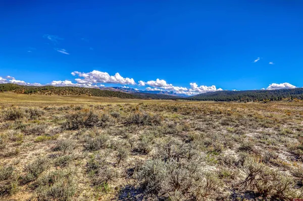 a view of a lake and a yard