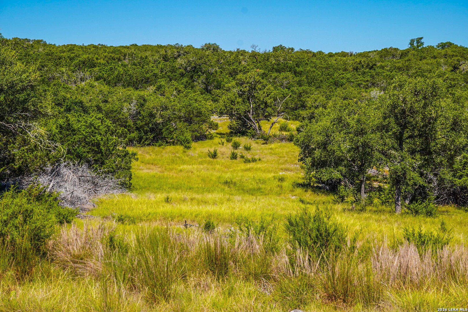 14468 County Road 310 Rocksprings, TX 78880 - Photo 55 of 101 Gallery Image 55
