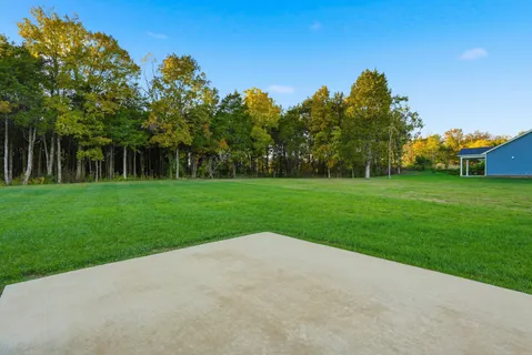 a view of a grassy field with trees in the background