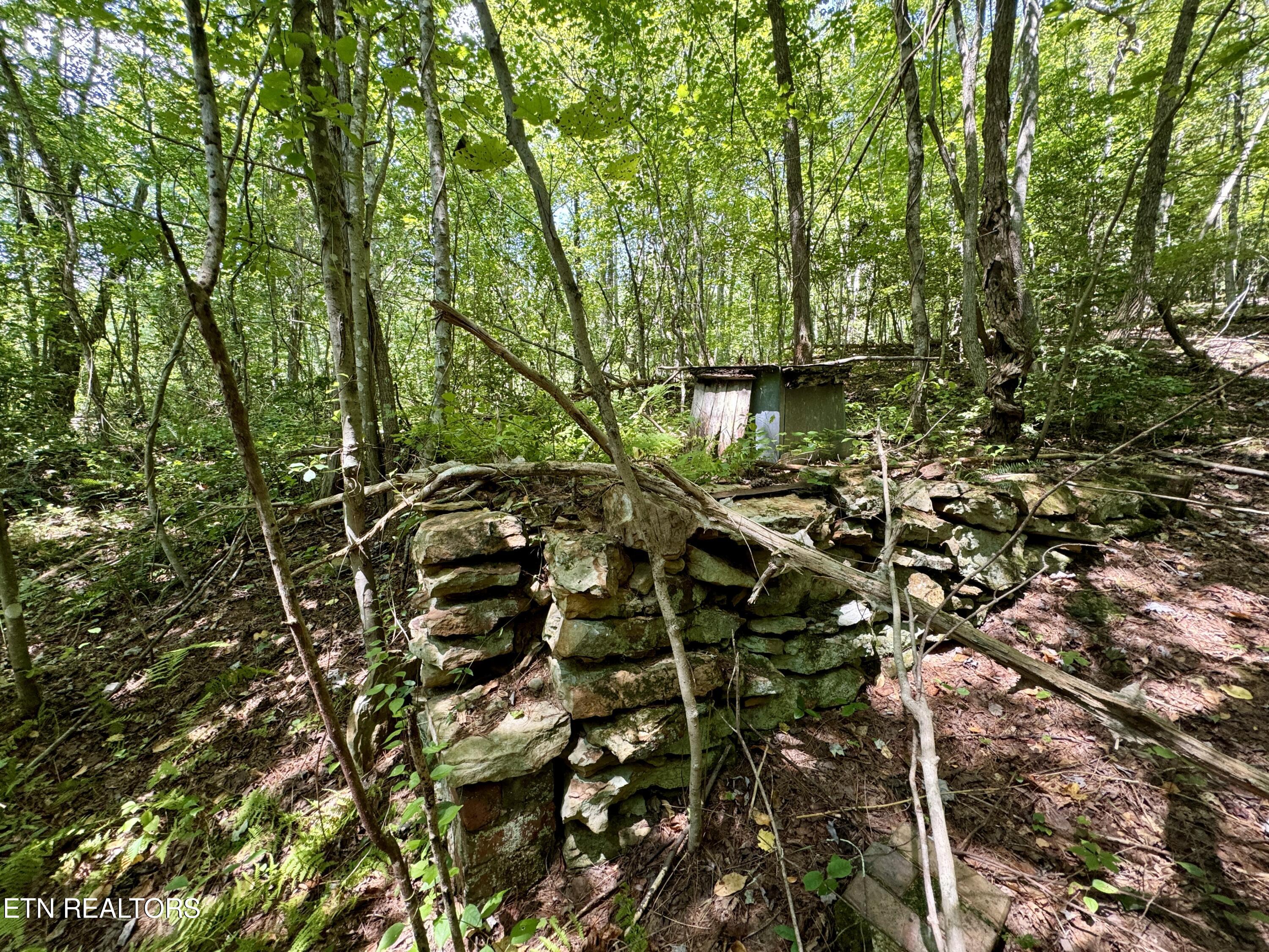 Reynolds Road Oakdale, TN 37829 - Photo 11 of 36 11
