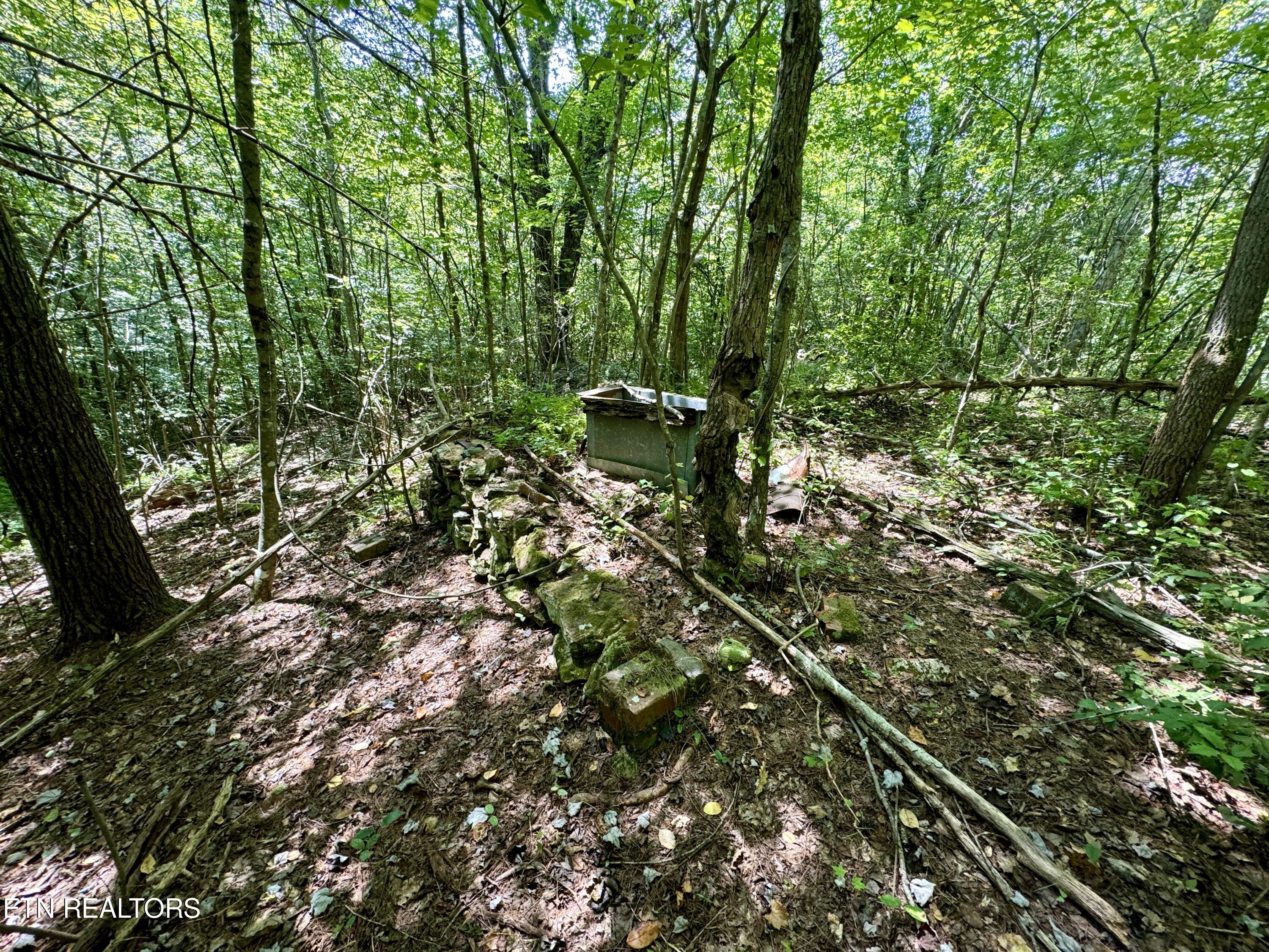 Reynolds Road Oakdale, TN 37829 - Photo 13 of 36 13