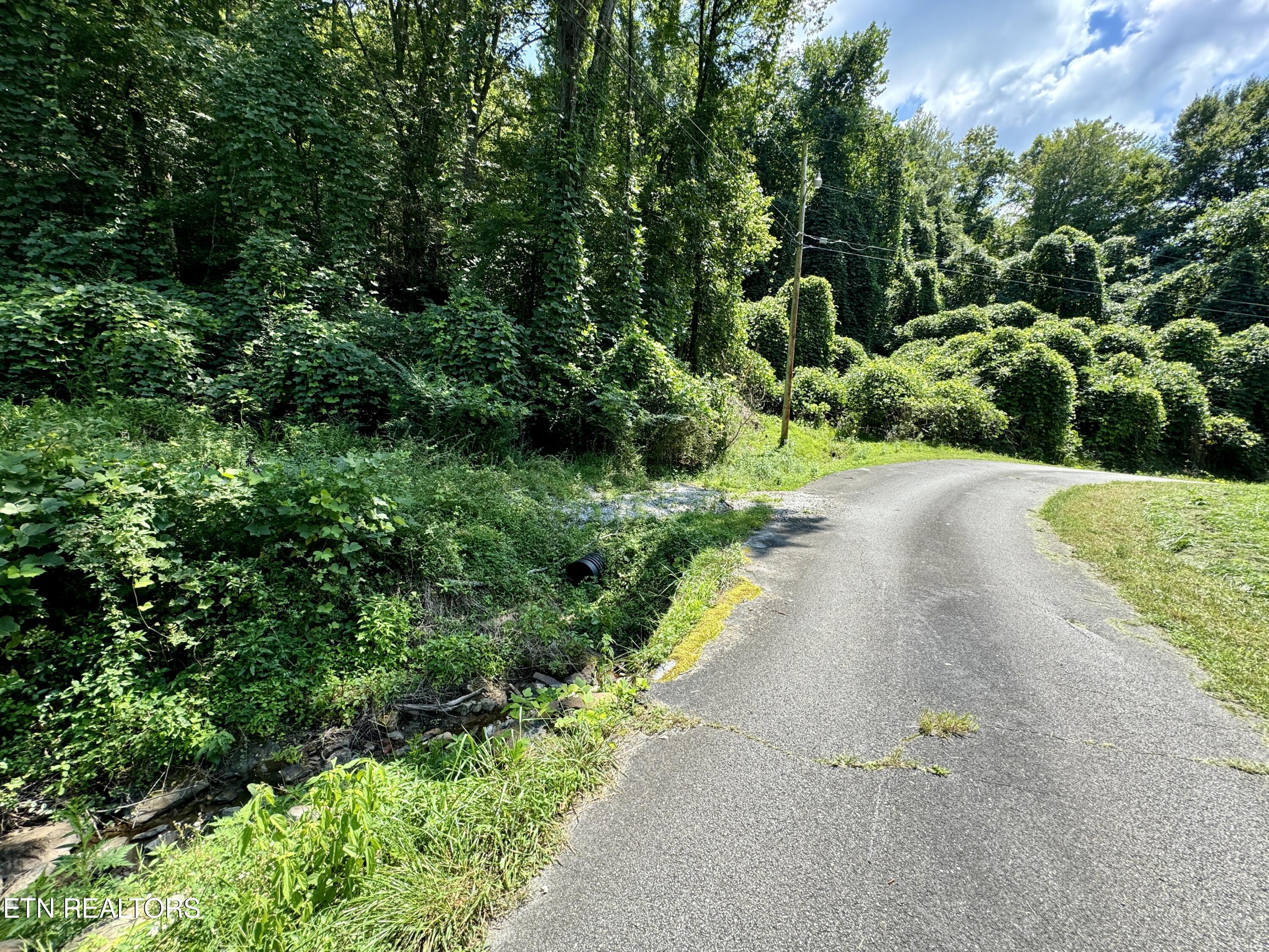 Reynolds Road Oakdale, TN 37829 - Photo 17 of 36 17