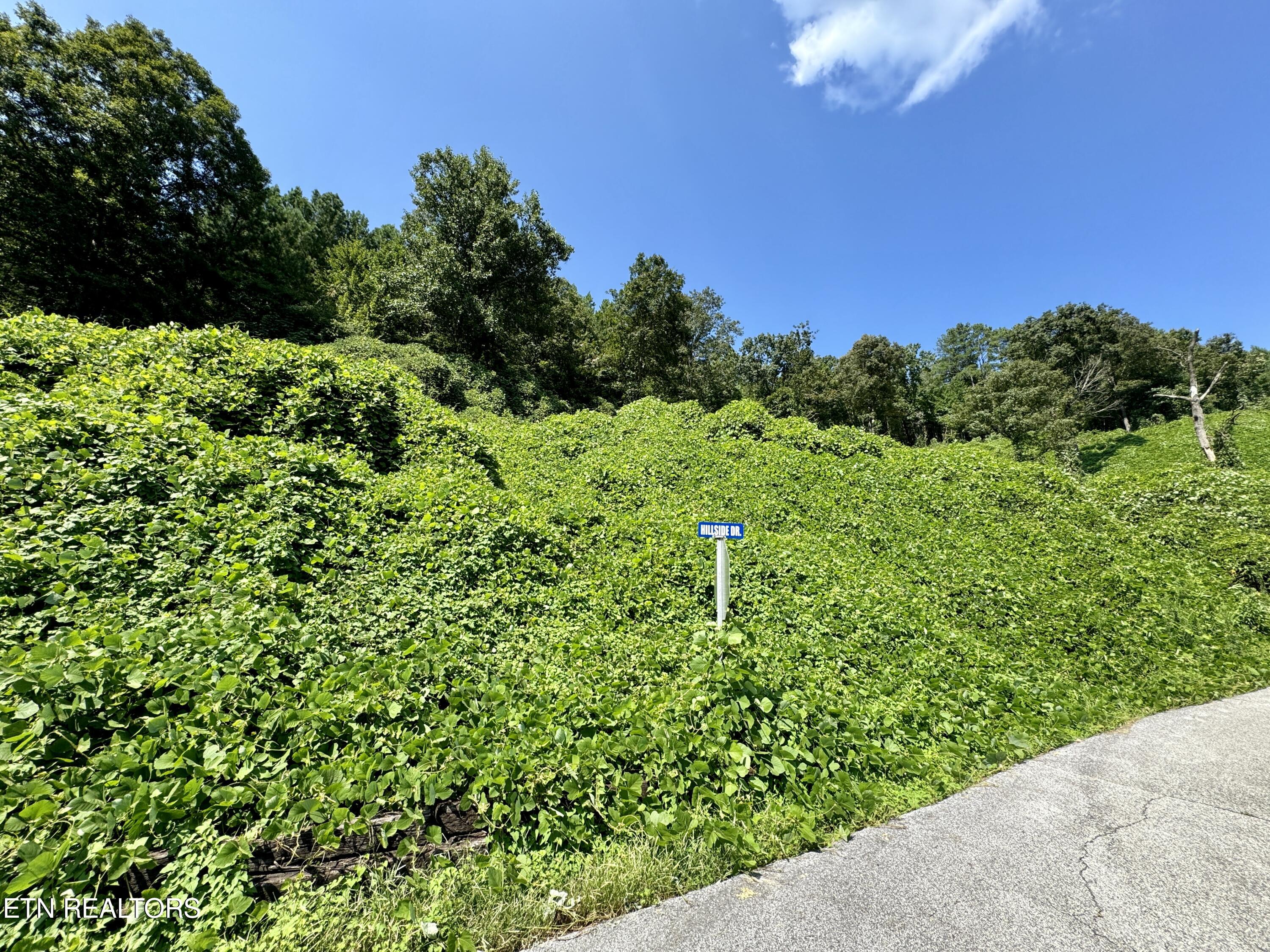 Reynolds Road Oakdale, TN 37829 - Photo 23 of 36 23