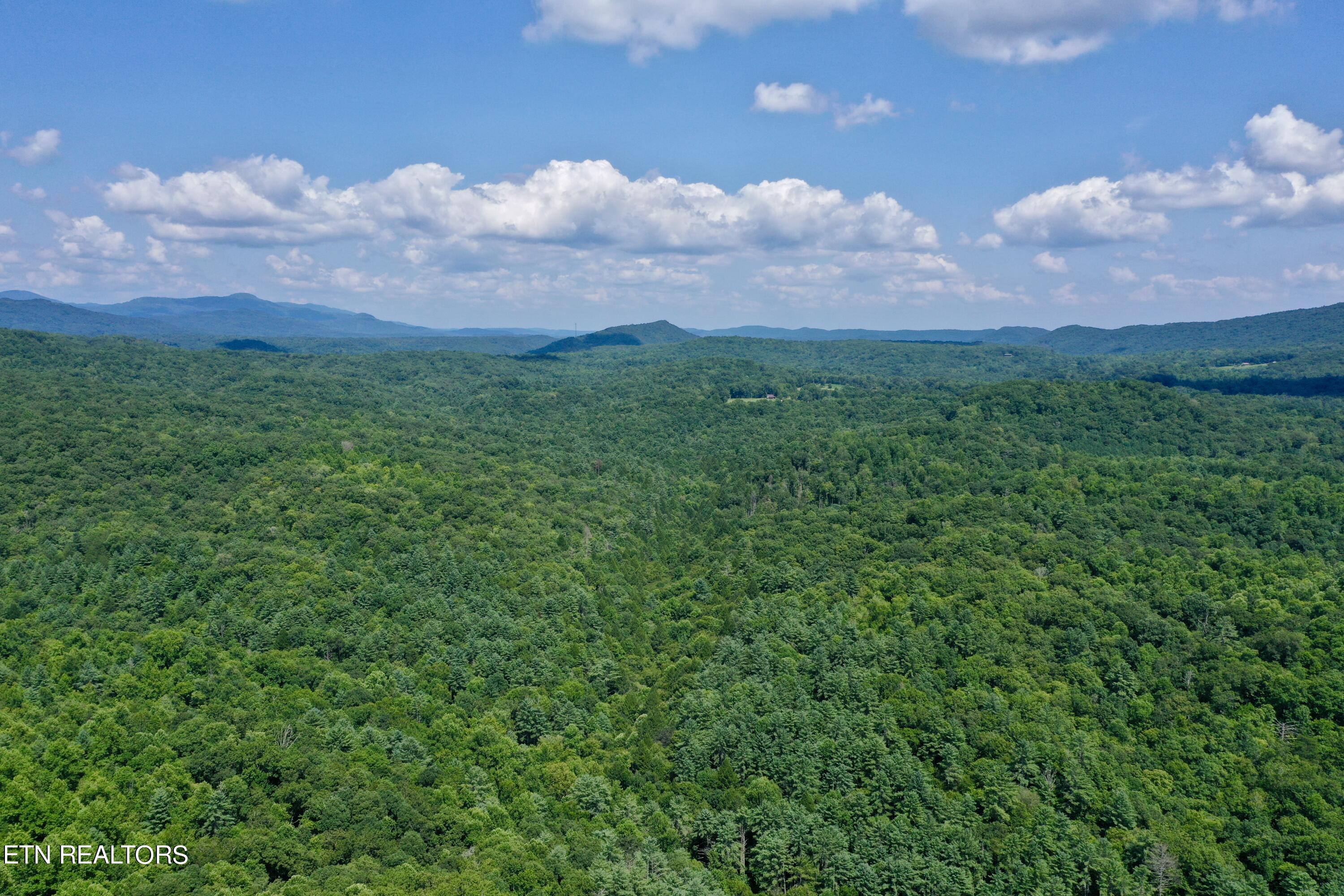 Reynolds Road Oakdale, TN 37829 - Photo 24 of 36 DJI_0531