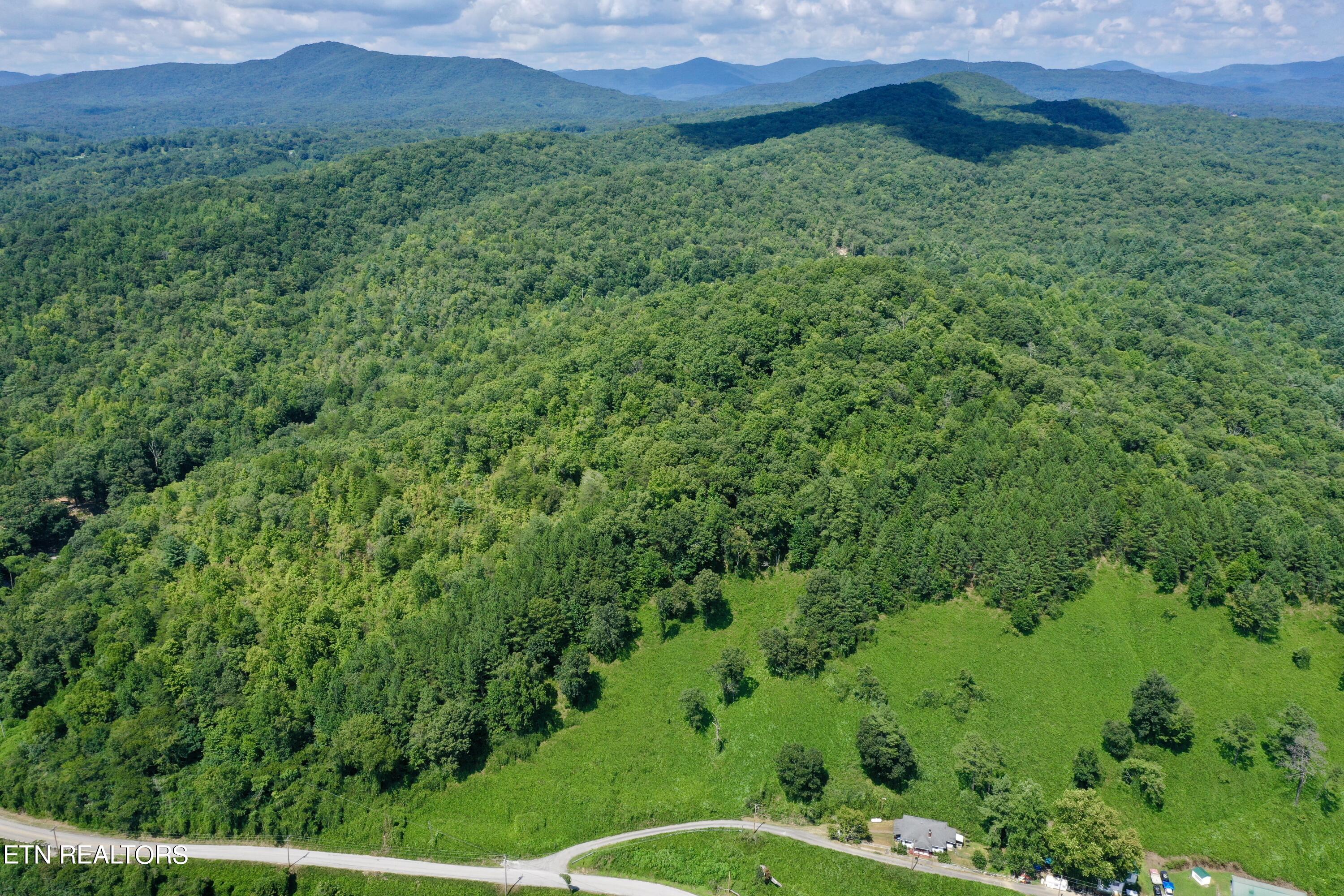 Reynolds Road Oakdale, TN 37829 - Photo 26 of 36 DJI_0534