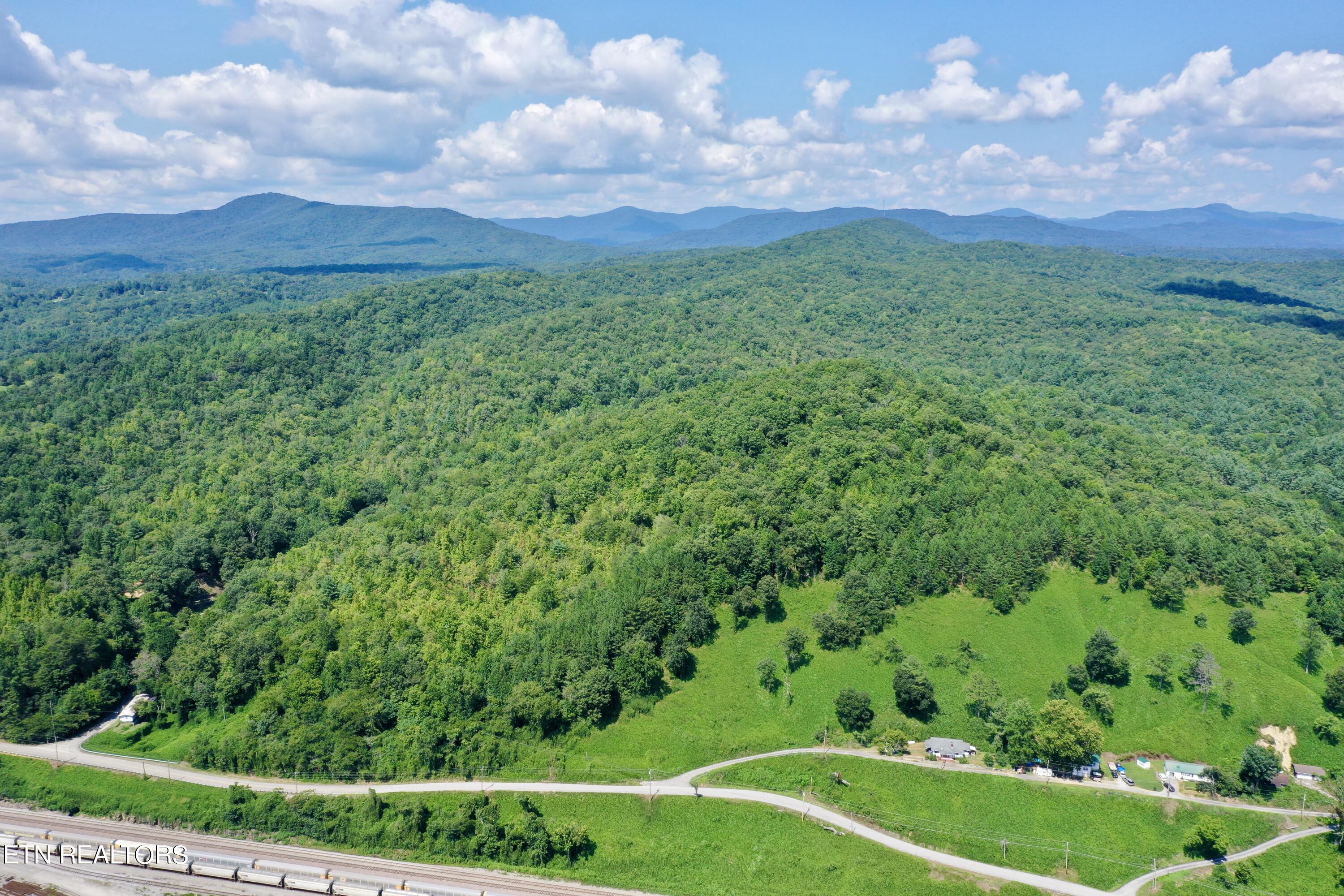 Reynolds Road Oakdale, TN 37829 - Photo 27 of 36 DJI_0541